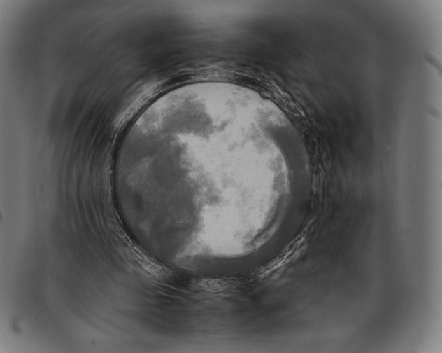 X0000095120341200801041228