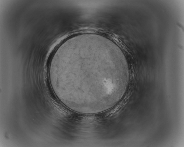 X0000095120342200801041228