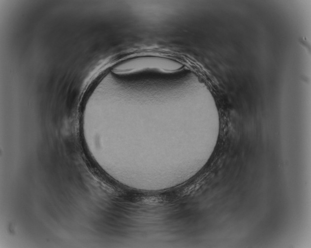 X0000095120344200801041228