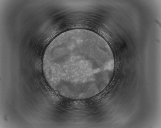 X0000095120345200801041228