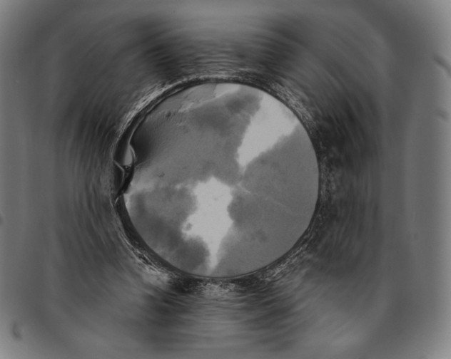 X0000095120346200801041228