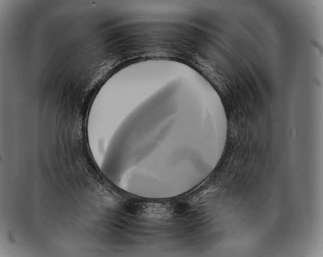 X0000095120347200801041228