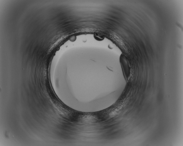 X0000095120348200801041228