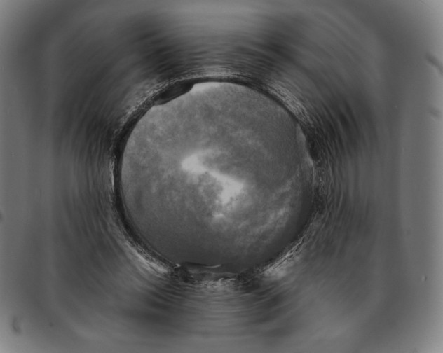 X0000095120350200801041228