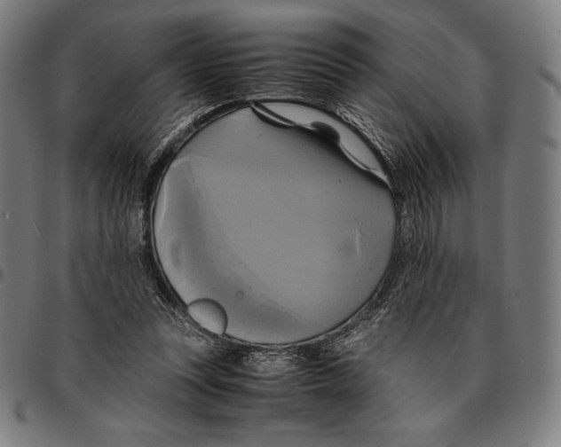 X0000095120351200801041228