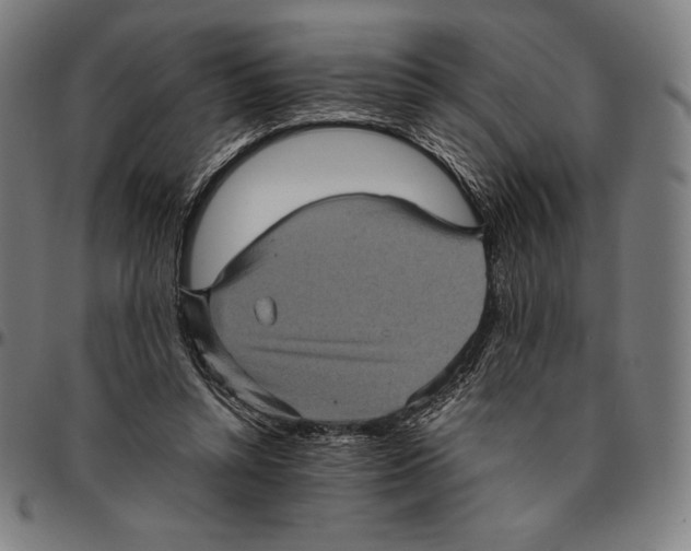 X0000095120352200801041228