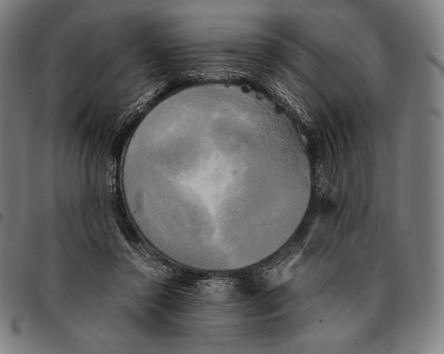 X0000095120356200801041228