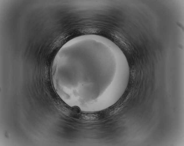 X0000095120359200801041228