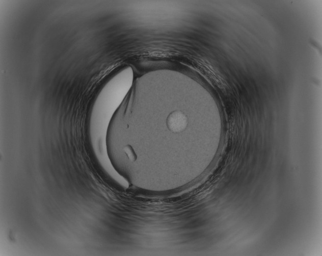 X0000095120360200801041228