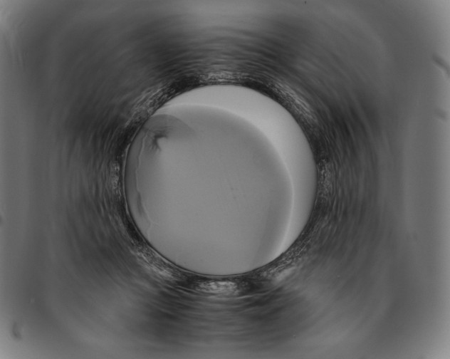 X0000095120361200801041228