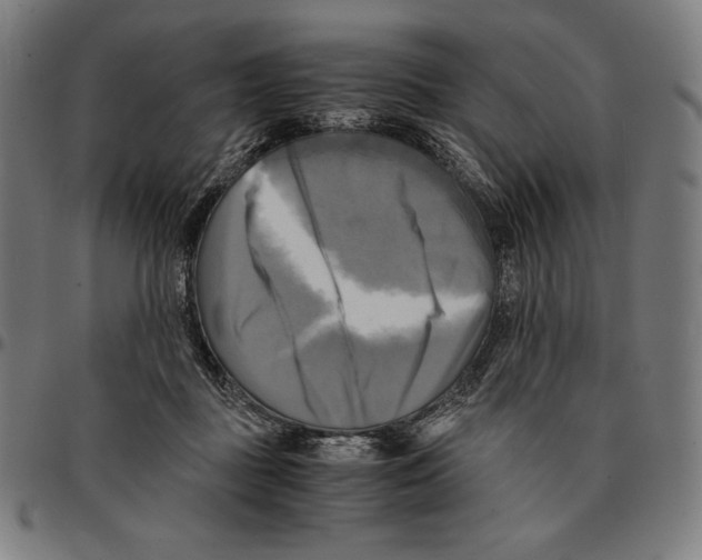 X0000095120363200801041228