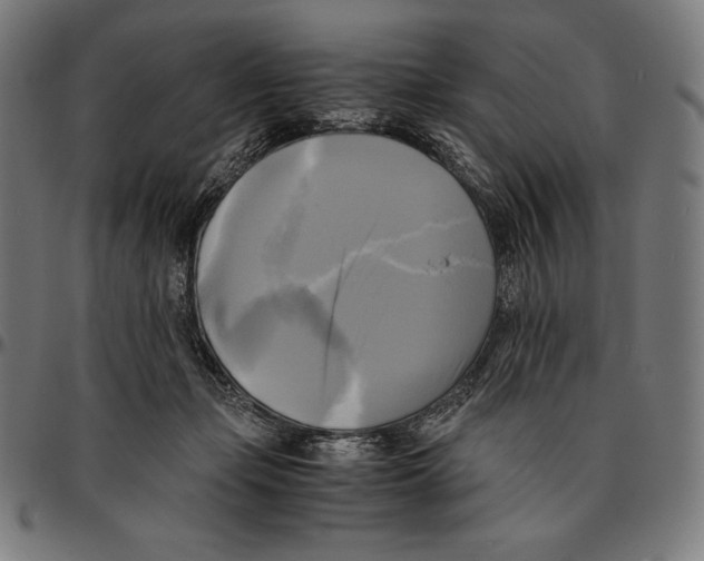 X0000095120365200801041228