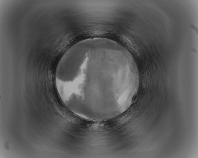 X0000095120366200801041228