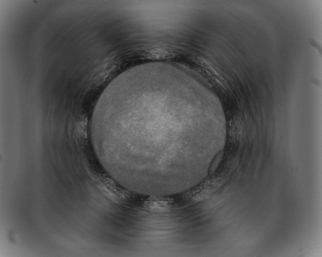 X0000095120368200801041228