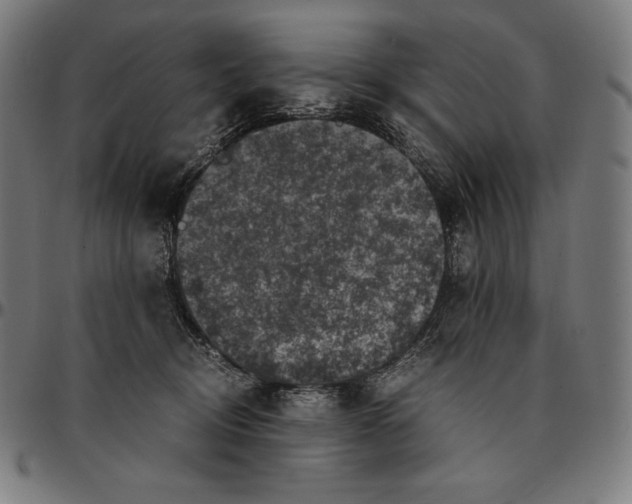 X0000095120370200801041228