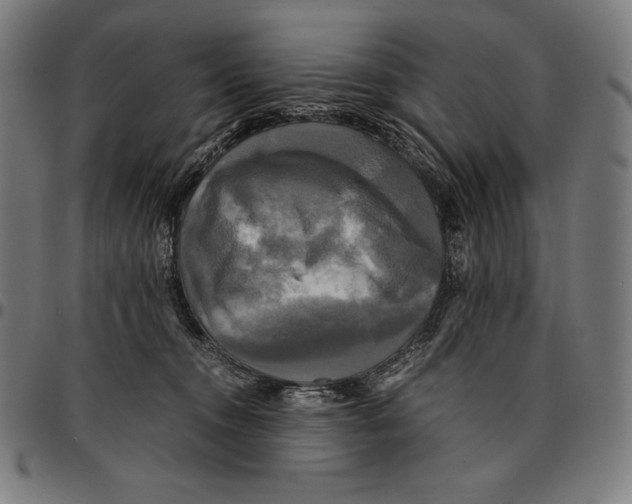 X0000095120372200801041228