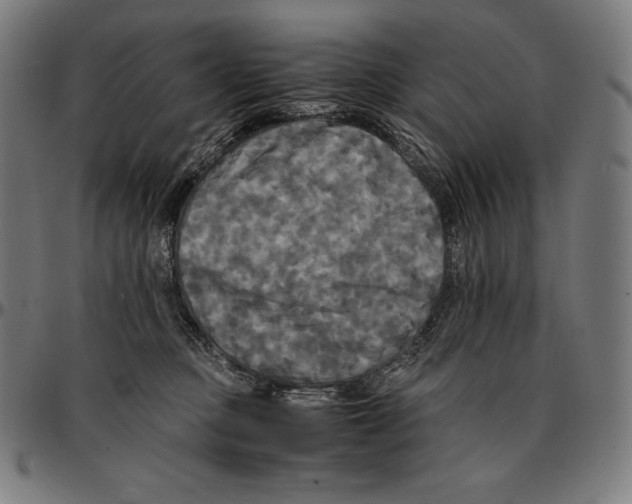 X0000095120373200801041228