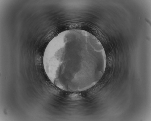 X0000095120375200801041228