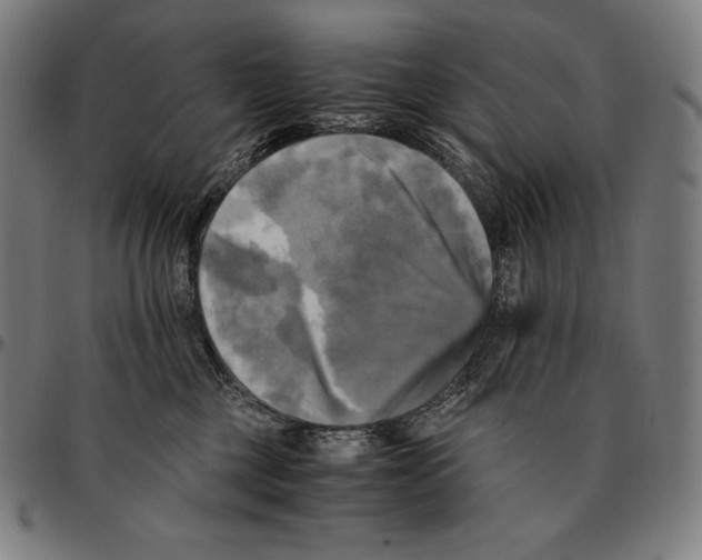 X0000095120377200801041228