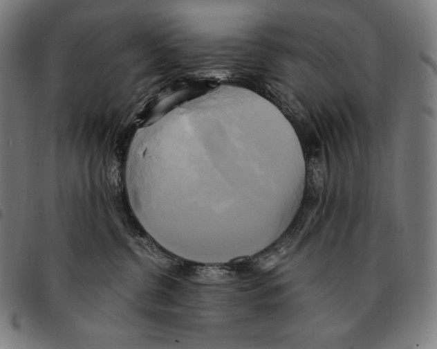 X0000095120380200801041228