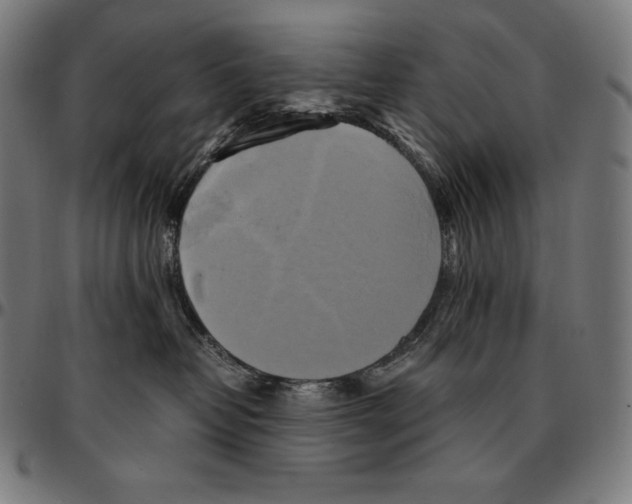 X0000095120382200801041229