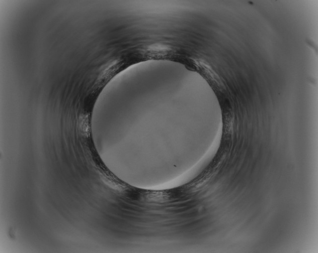 X0000095120383200801041229