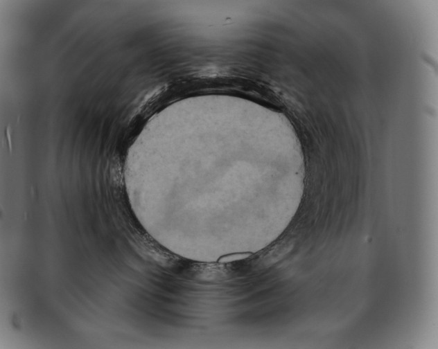 X0000095120384200801041229