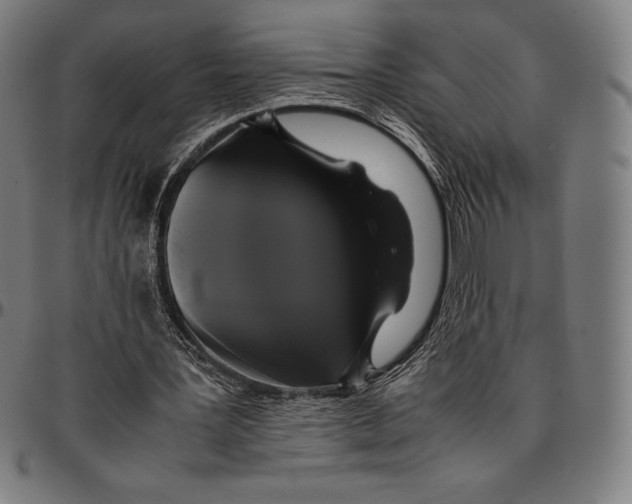 X0000095120387200801041228