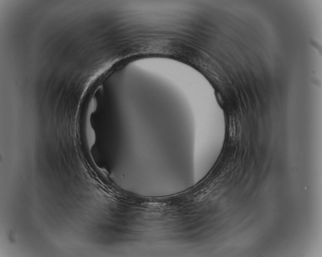 X0000095120388200801041228