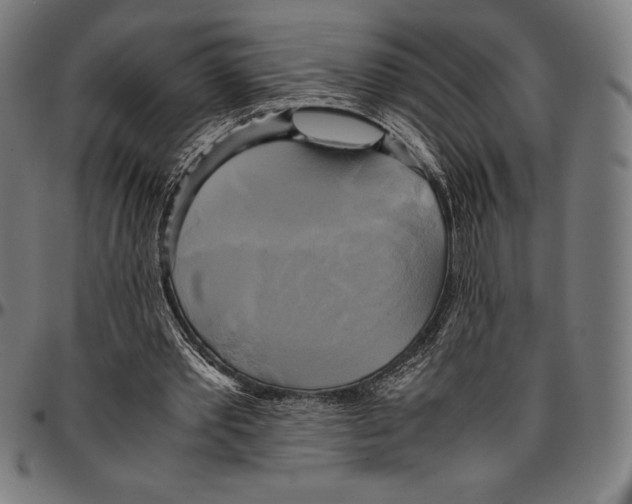 X0000095120389200801041228