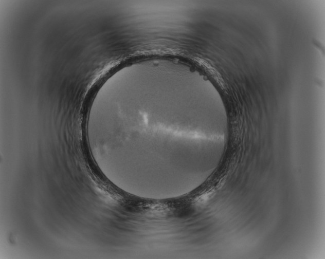 X0000095120395200801041228