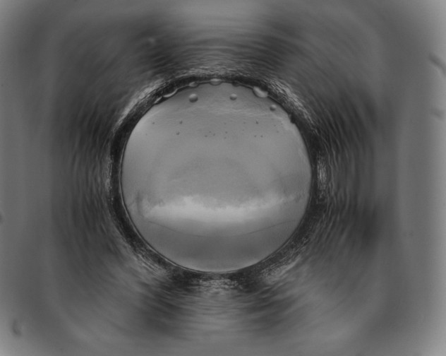 X0000095120396200801041228