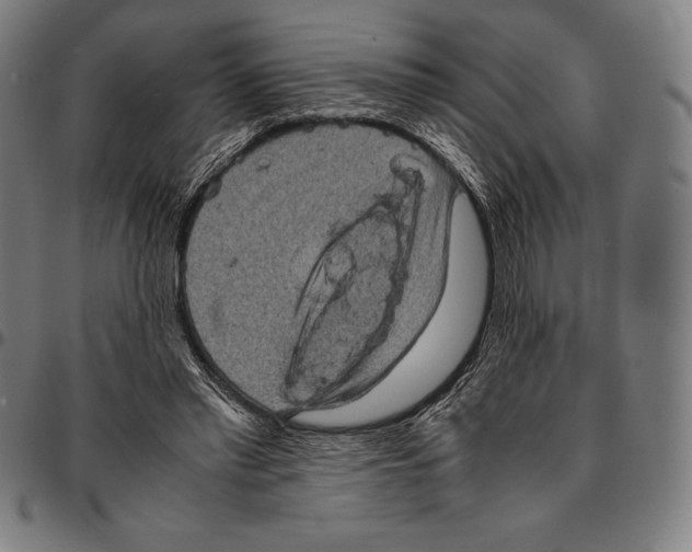 X0000095120397200801041228