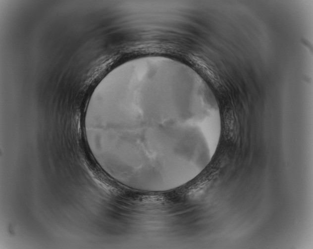 X0000095120398200801041228