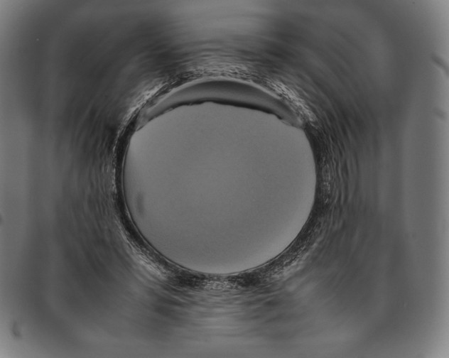 X0000095120399200801041228