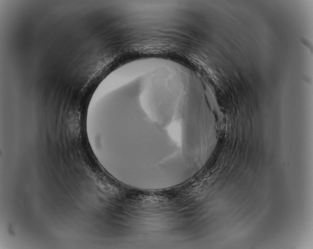 X0000095120400200801041228