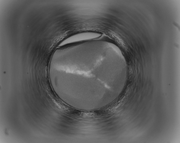 X0000095120401200801041228