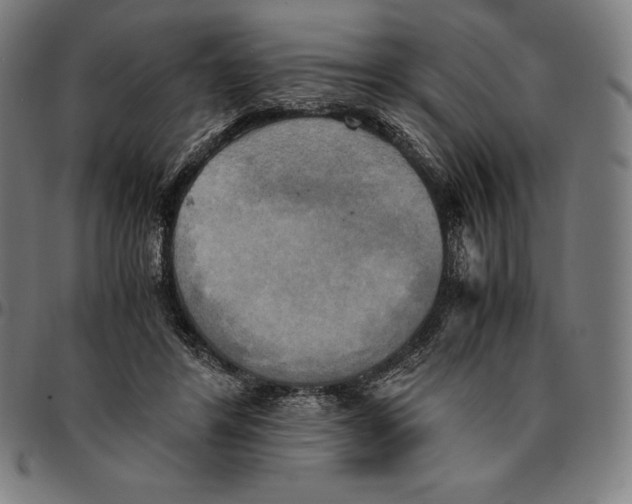 X0000095120404200801041228