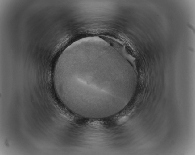 X0000095120407200801041227