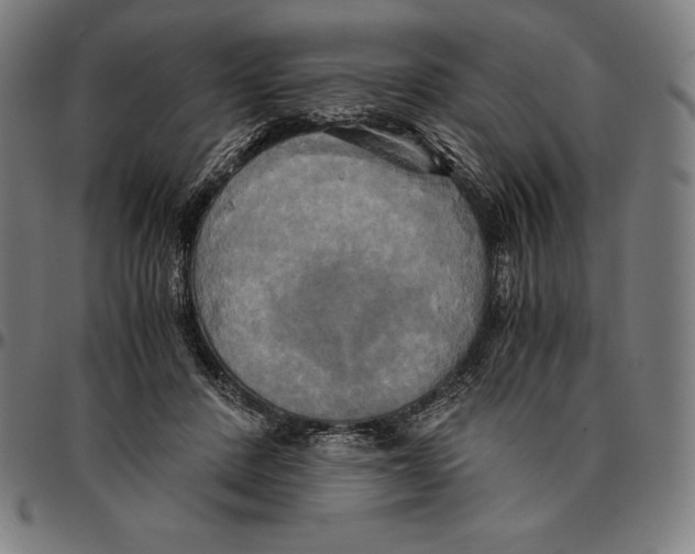 X0000095120408200801041227