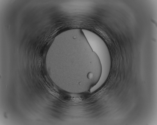 X0000095120409200801041227