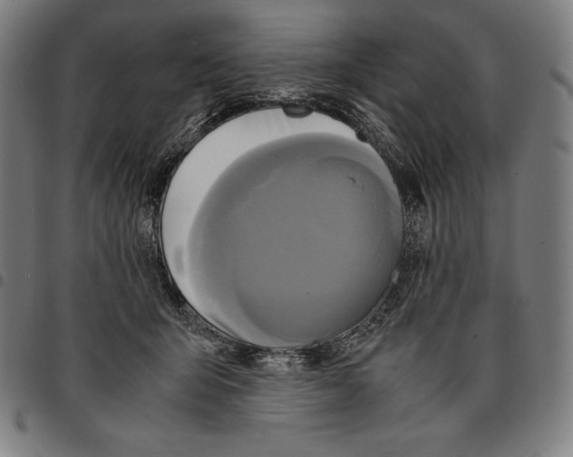 X0000095120415200801041227