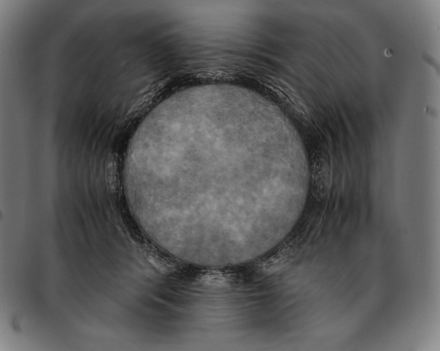 X0000095120416200801041227