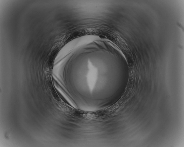 X0000095120419200801041227