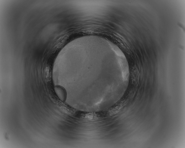 X0000095120420200801041227