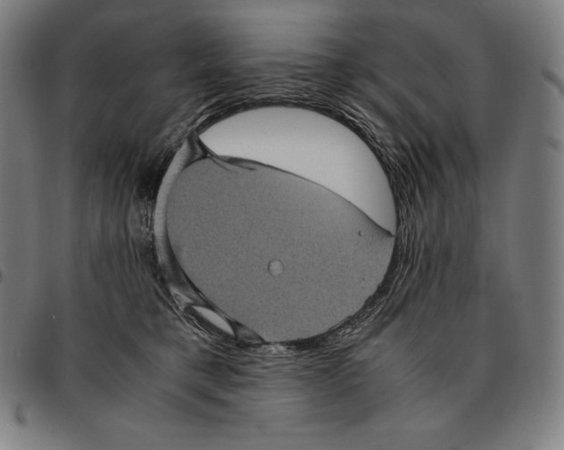 X0000095120421200801041227