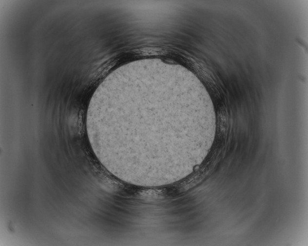 X0000095120422200801041227