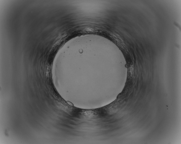 X0000095120423200801041227