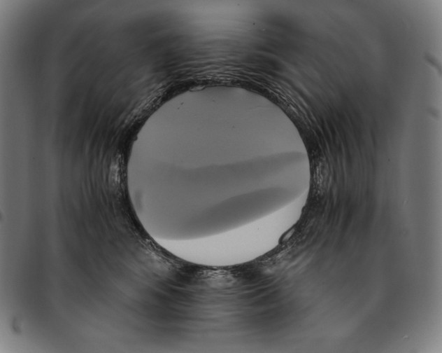 X0000095120424200801041227