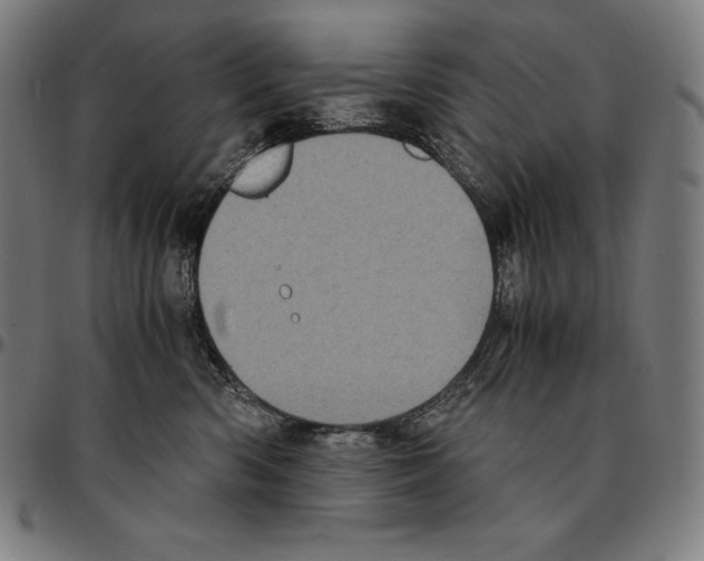 X0000095120426200801041227